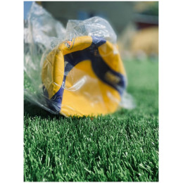 Мяч волейбольный Mikasa V330W FIVB