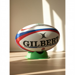 Мячи регбийные